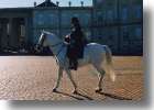 A cop and his horse